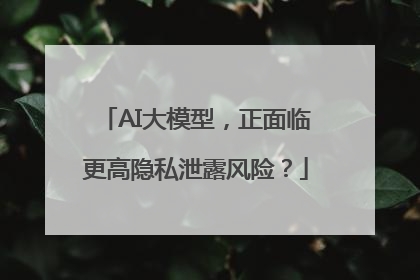 AI大模型，正面临更高隐私泄露风险？