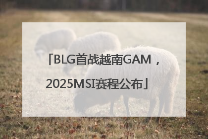 BLG首战越南GAM，2025MSI赛程公布