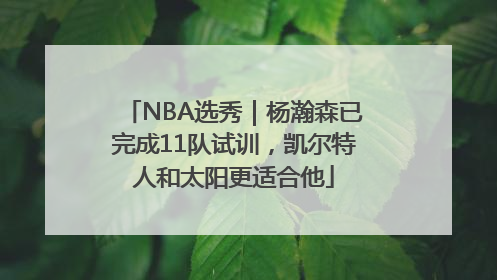 NBA选秀｜杨瀚森已完成11队试训，凯尔特人和太阳更适合他