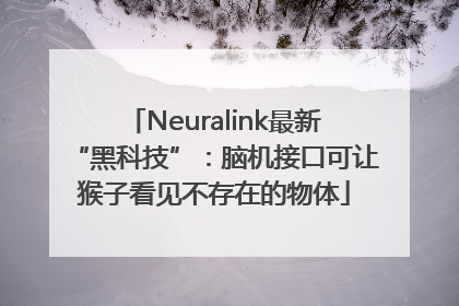Neuralink最新“黑科技”：脑机接口可让猴子看见不存在的物体
